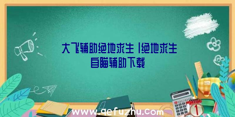 「大飞辅助绝地求生」|绝地求生自瞄辅助下载